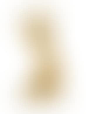 A female nude (preview)