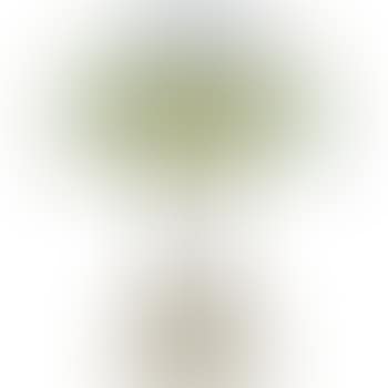A Woodbine lamp (preview)