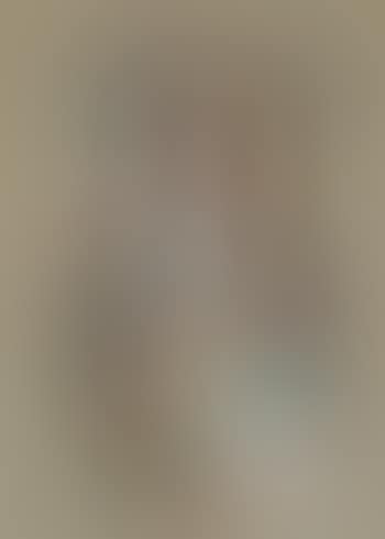 Portrait of a women (Figuras sedentes series) (preview)