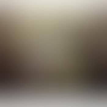 A still life of flowers in a procelain vase (preview)