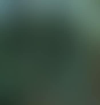 Figures and Lovers in Pine Forest (preview)