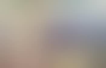 Untitled (Alice Springs) (preview)