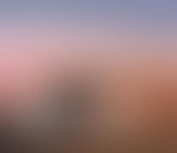 Bride in a Pink Landscape (preview)