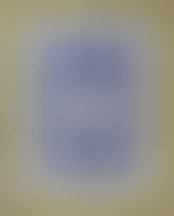 Ceramica blu (preview)