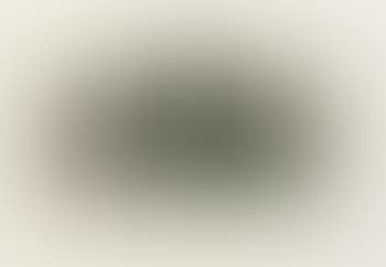 [Untitled] (preview)