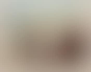 Persistence of Memory (preview)