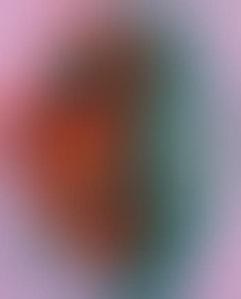 Composizione (preview)