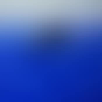 Dolphin in Sea of Klein Blue. Harmonic Chart Painting (preview)