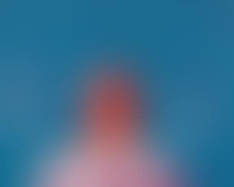 1996.4 (preview)