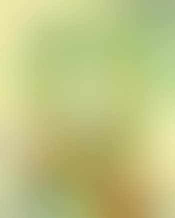 Daylilies (preview)