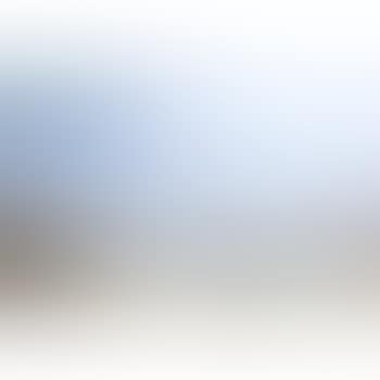 A panoramic view of Venice (preview)