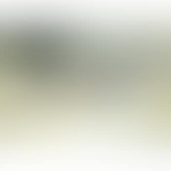 A woman seated on the shore (preview)