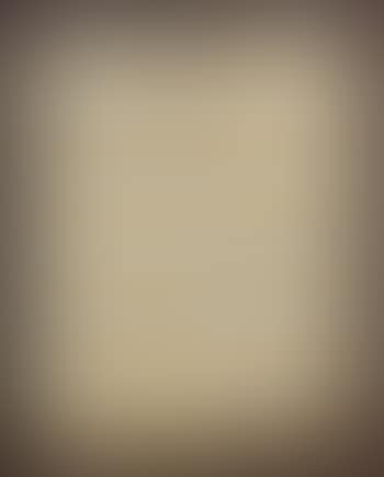 Camel by Arman (preview)