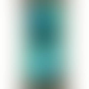 Still life (preview)