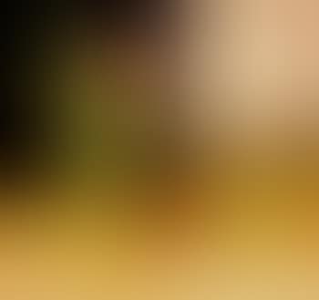 Composizione con paesaggio (preview)
