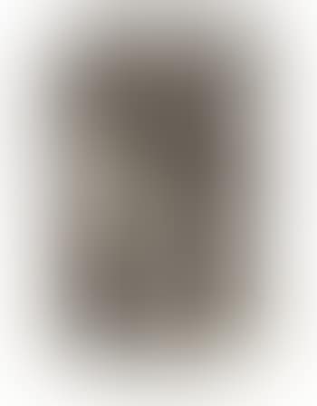 Ohne Titel (Compression-orfèvrerie) (preview)