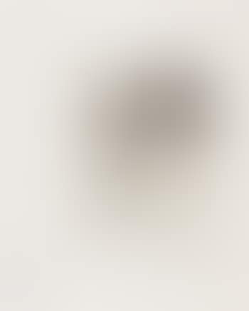 Study from model (preview)
