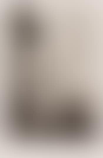 Morgon (preview)