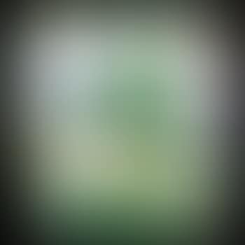Portrait of a Matron in a Green Dress (preview)