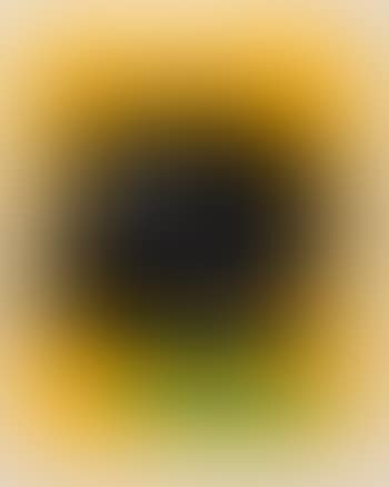 Green fish on yellow (preview)