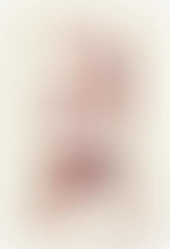 Red Seated Insect (preview)