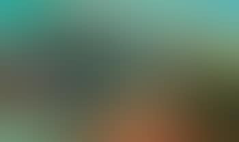 Landscape (preview)