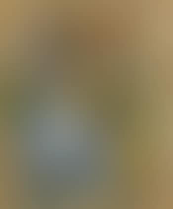 Silverstaken (preview)