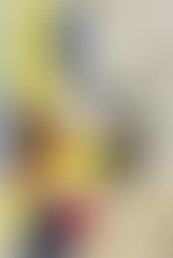 La stella di Rotella (preview)