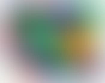 Linee andamentali (preview)