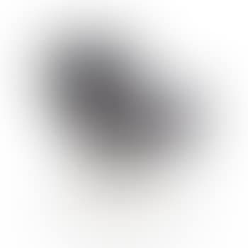 "Svanen" (preview)