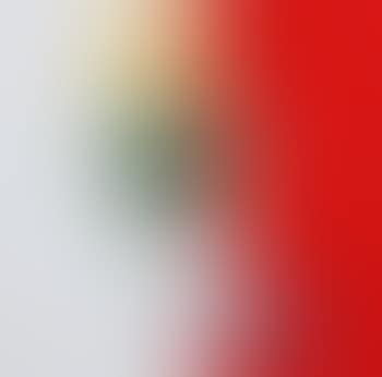 Senza titolo (preview)