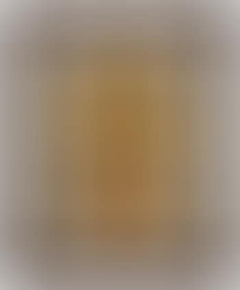 Vergonzoso (preview)