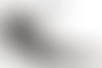 Le Cabinet Anthropomorphique (preview)