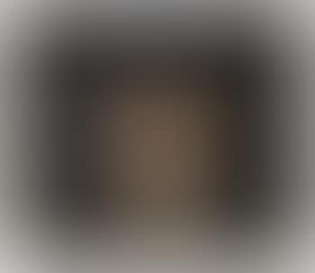 L'Intrus (preview)