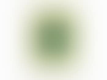 From 'Papierski Portfolio' (preview)