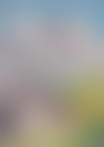 Baita (preview)
