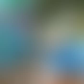 Le Miroir (preview)