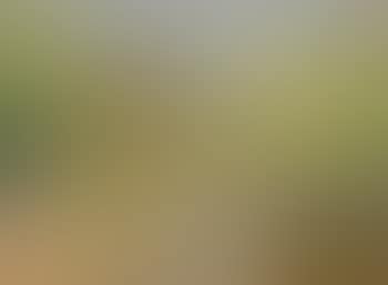 In the Taieri Valley (preview)