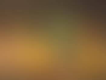 Still life with Pears (preview)
