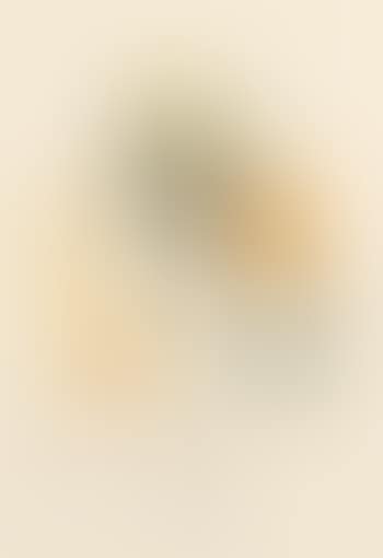 Pamplemousse Érotique (preview)