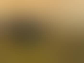Begegnung am Abend (preview)