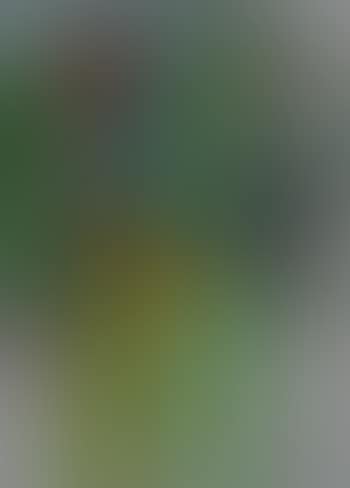 Untitled (Robe) (preview)