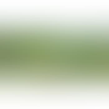 Piccolo paesaggio (preview)
