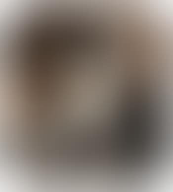 A Portrait of Louise Castellane-Norante, Duchess of Pourtalès (preview)