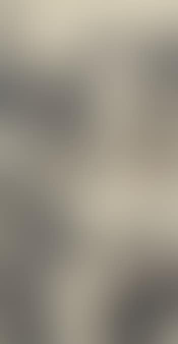 Misty landscape (preview)