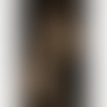 [Untitled] (preview)