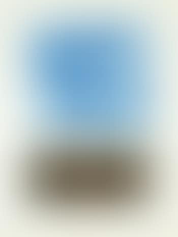 Kaipara flat with a blue sky (preview)