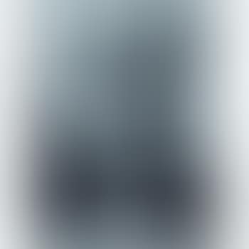 Studio Still Life (preview)