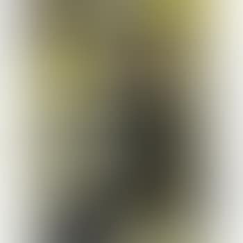 Divan Japonais (preview)