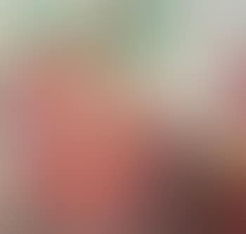 The red scarf (preview)